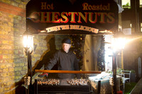 mountstlights_016