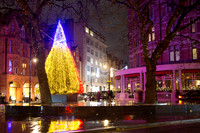 mountstlights_011