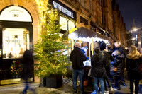 mountstlights_018