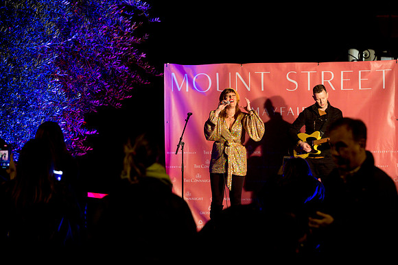 mountstlights_027