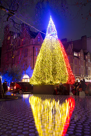 mountstlights_009
