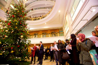 prucarols2017-020