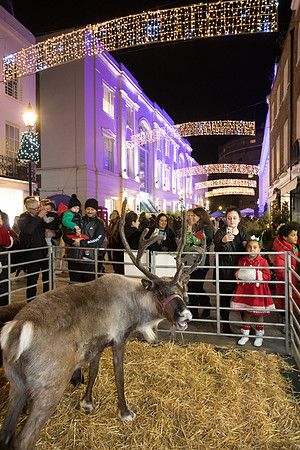 grosvenorchristmas2023-127