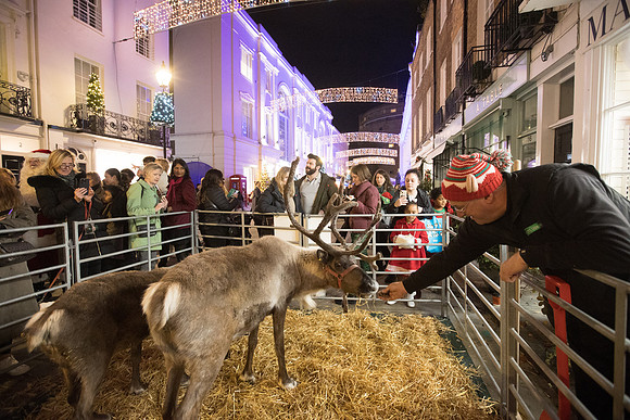 grosvenorchristmas2023-125