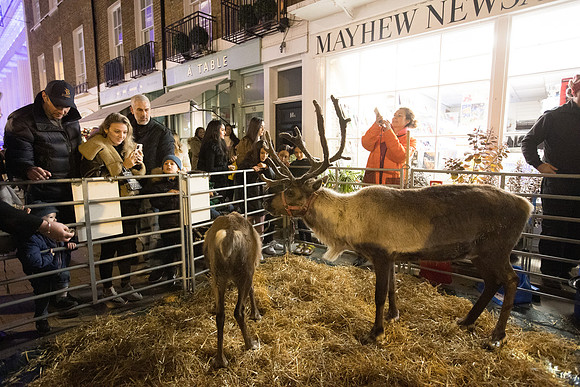 grosvenorchristmas2023-098