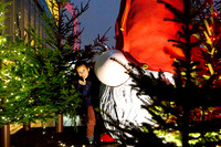 southbank-winter2016_002