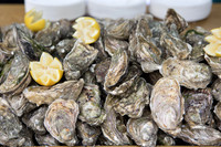 belgraviabbq-2023_012