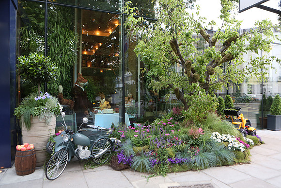 belgraviainbloom_002