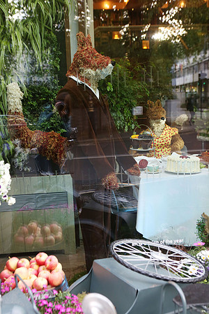 belgraviainbloom_003