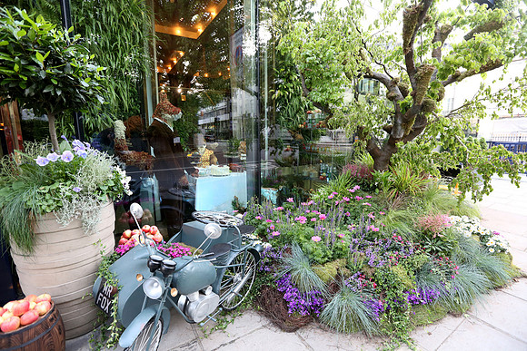 belgraviainbloom_006