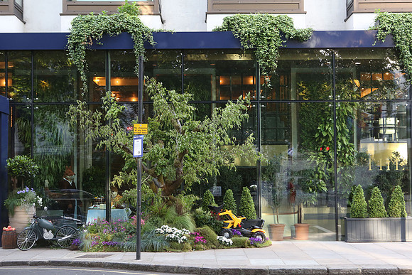 belgraviainbloom_009