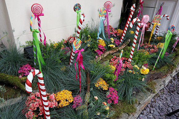 belgraviainbloom_022