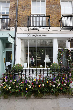 belgraviainbloom_030