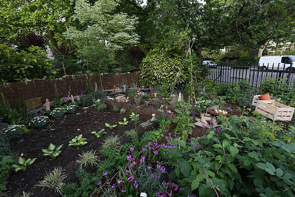 belgraviainbloom_044