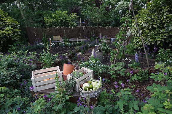 belgraviainbloom_045