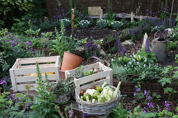 belgraviainbloom_048