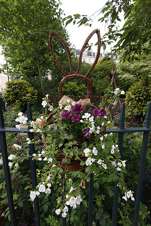 belgraviainbloom_046