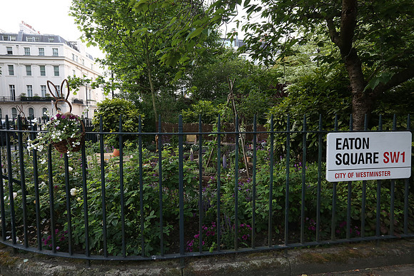 belgraviainbloom_047