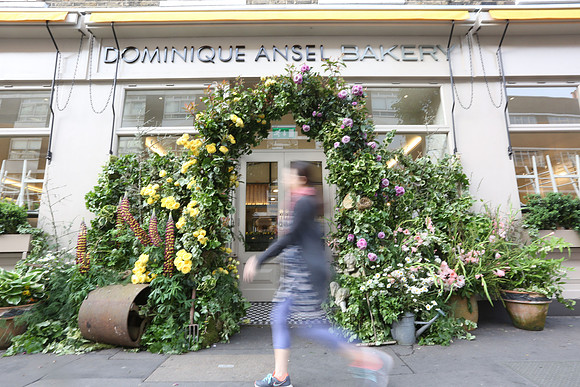 belgraviainbloom_050