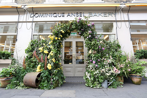 belgraviainbloom_051
