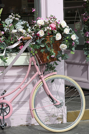 belgraviainbloom_061