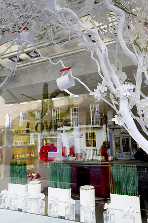 belgraviainbloom_085