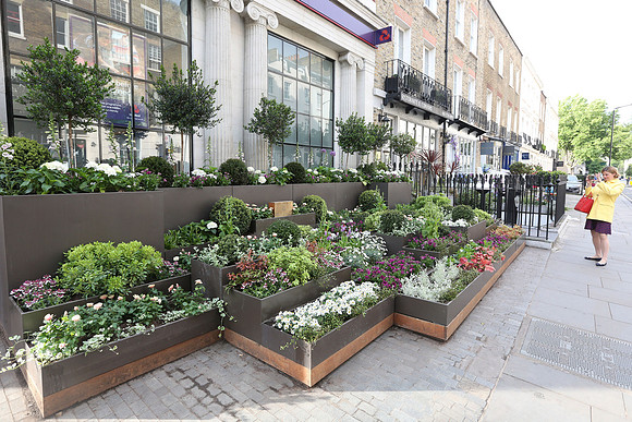 belgraviainbloom_091