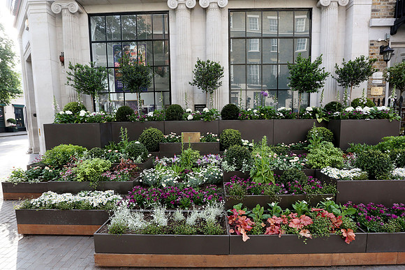 belgraviainbloom_092
