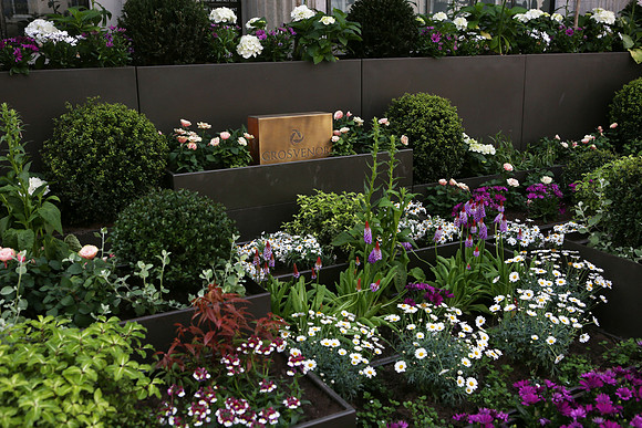 belgraviainbloom_093