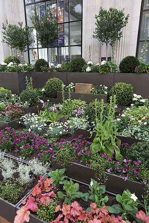 belgraviainbloom_095