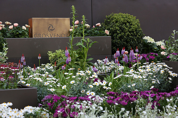 belgraviainbloom_096