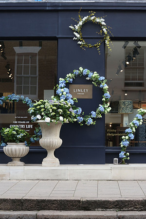 belgraviainbloom_116