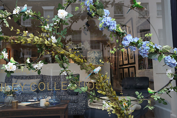 belgraviainbloom_118
