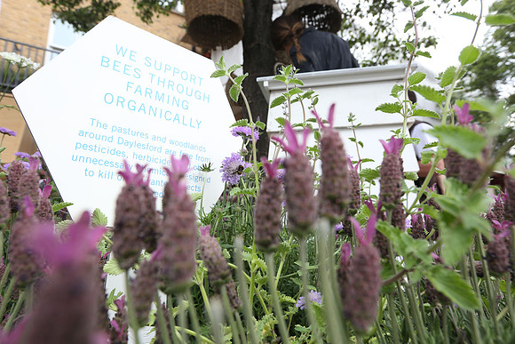 belgraviainbloom_121