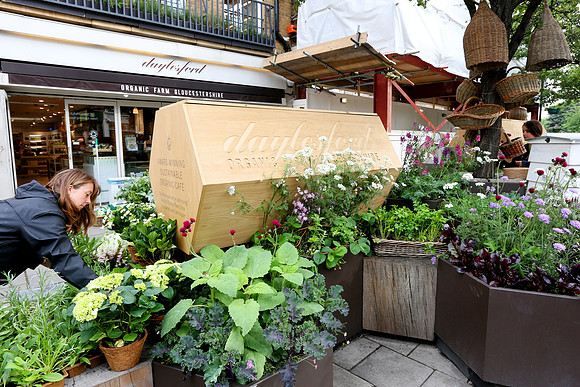 belgraviainbloom_123