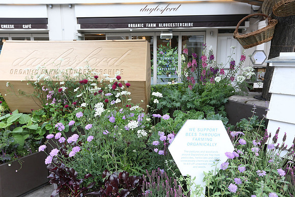 belgraviainbloom_124