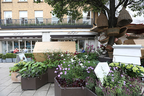 belgraviainbloom_125