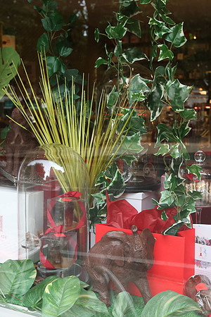 belgraviainbloom_129