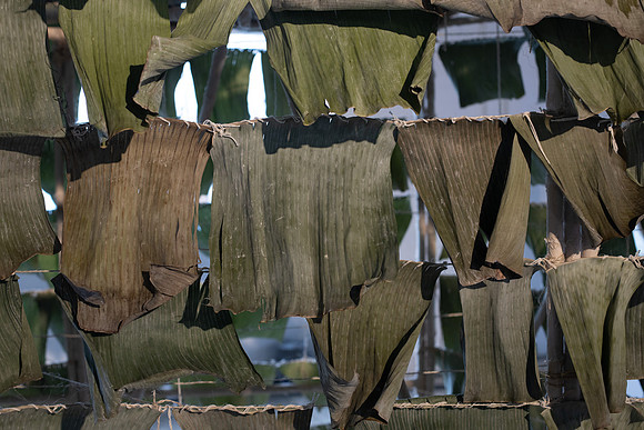 thisisnotaparty-067
