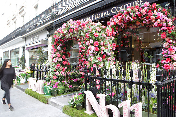 belgraviainbloompress_005
