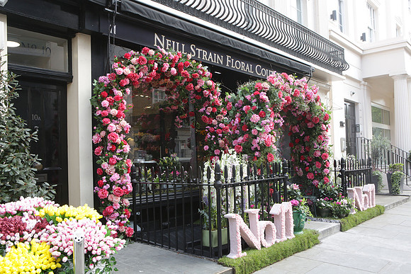 belgraviainbloompress_004