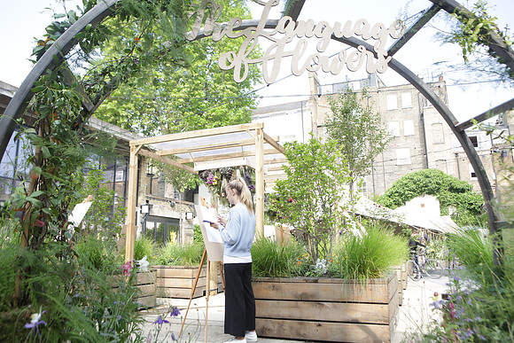 belgraviainbloompress_002