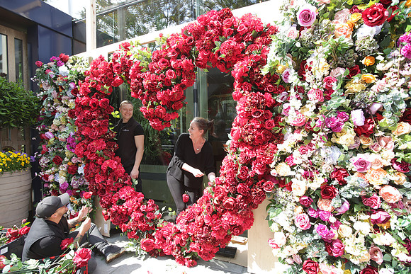 belgraviainbloompress_021