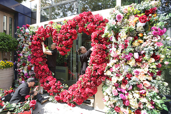 belgraviainbloompress_022