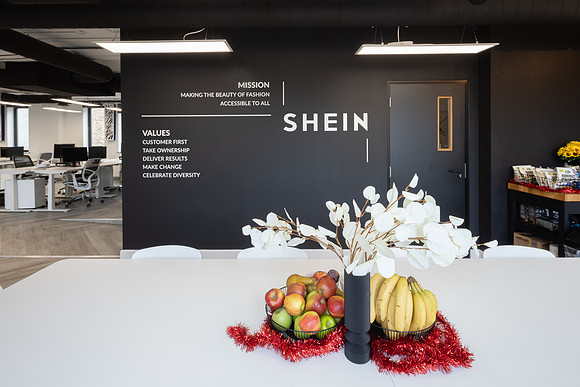 shein-edit_186