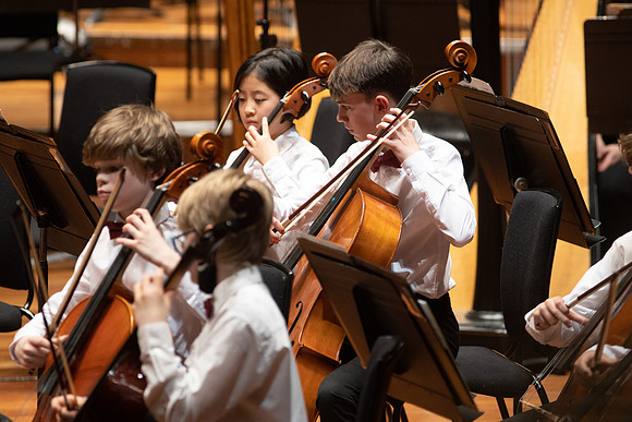 juniorcello-040