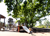 summershots