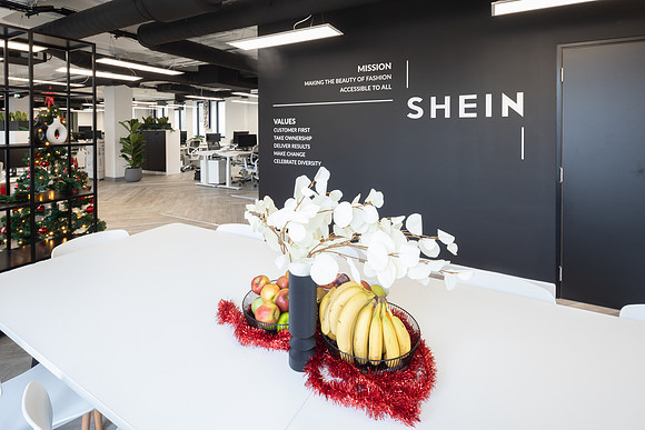 shein-edit_187