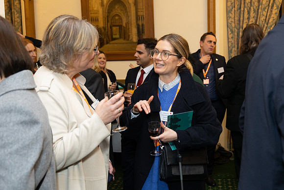 resolve-parliament-2024_045