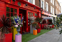 belgraviainbloom